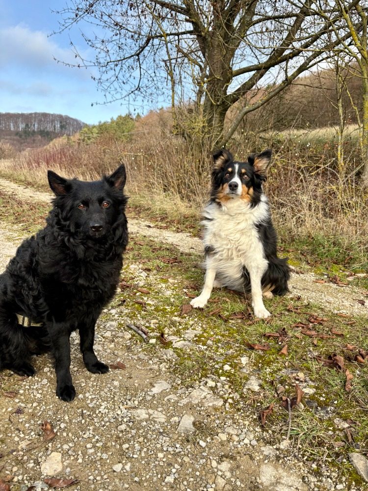 Pippa und Luna sitzen nebeneinander auf einem Feldweg